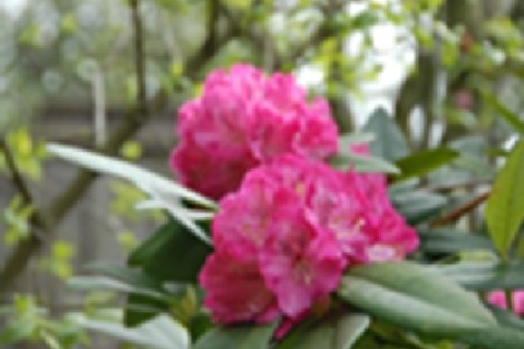 春の鎌倉マラニック