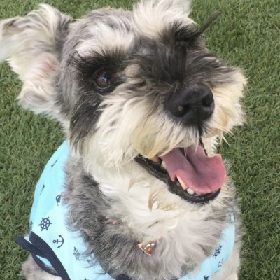 かあさんかあさん