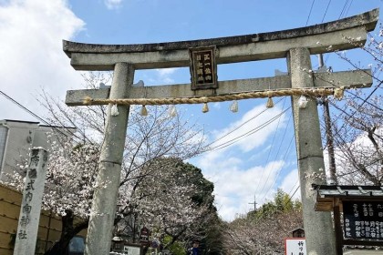 ≪ランde観光≫［京都］都と古墳と竹林と！乙訓周遊（キリシマツツジ）【レベル4】観光ラン