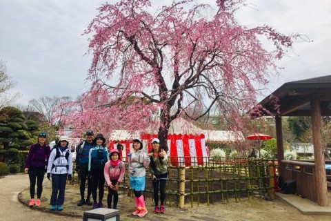 【女性限定】はじめての五月山トレイルラン（春の絶景コース）