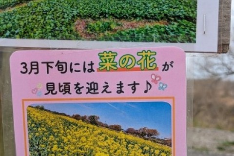 サイタマサイクルプロジェクト”エヴァーグリーン”始動ライド！定番スポットに行ってみようポタリング