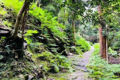 はじめての奈良若草山トレイルラン｜初心者向け