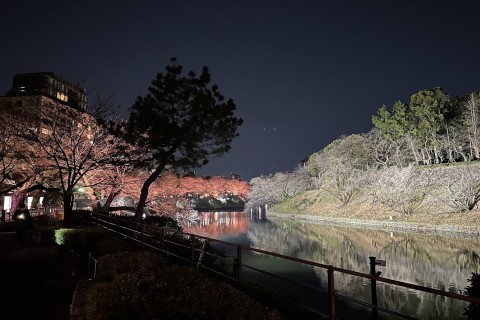 夜桜ラン120分《千駄ヶ谷・東京体育館集合》