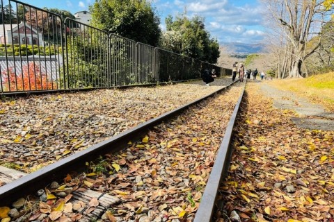 はじめての京都トレイルラン東山