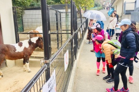 【女性限定】はじめての五月山トレイルラン（春の絶景コース）