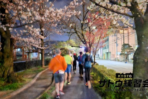 感激の京都・夜桜めぐり お花見ラン 京都随一の桜の名所 穴場スポット12k【サトウ練習会】