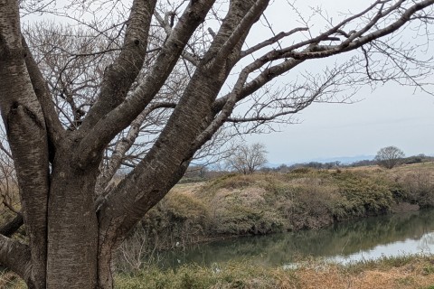 サイタマサイクルプロジェクト”エヴァーグリーン”始動ライド！定番スポットに行ってみようポタリング