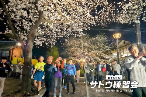 感激の京都・夜桜めぐり お花見ラン 京都随一の桜の名所 穴場スポット12k【サトウ練習会】