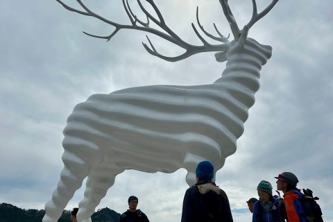 石巻to女川トレイルランニング