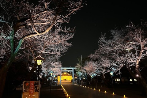 夜桜ラン120分《千駄ヶ谷・東京体育館集合》