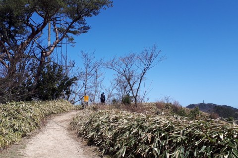 5/23【六甲/土曜】はしりびとトレラン塾『初めての長距離を楽しむ!!約27km東六甲縦走トレイル』