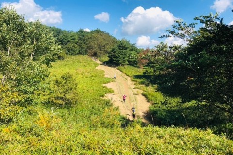 神戸・六甲 トレイルラン（有馬温泉）11km｜初心者向けツアー・コーチ同行・少人数