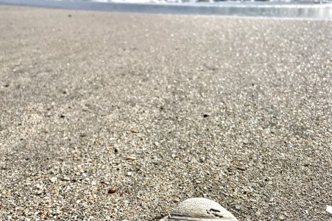 えもと塾　鎌倉 江ノ島20キロシーサイドラン