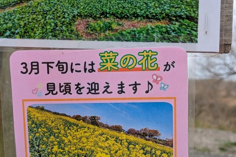 サイタマサイクルプロジェクト”エヴァーグリーン”始動ライド！定番スポットに行ってみようポタリング