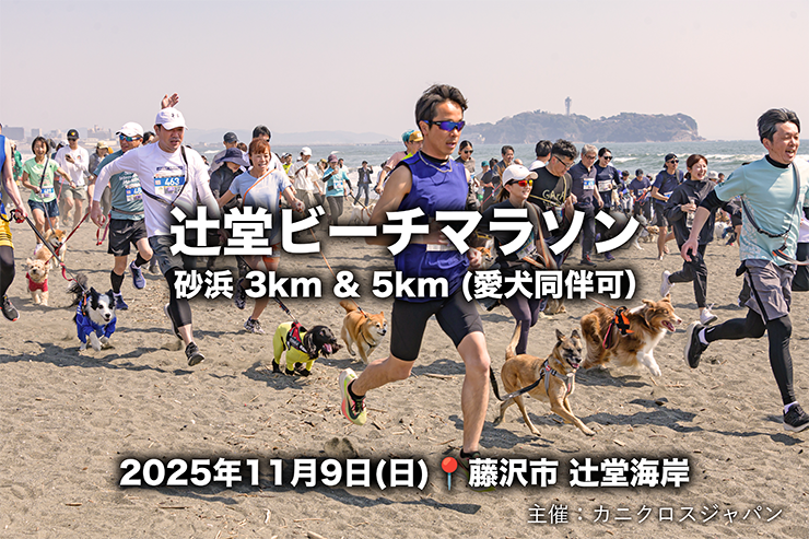 RUNNET連携画像1