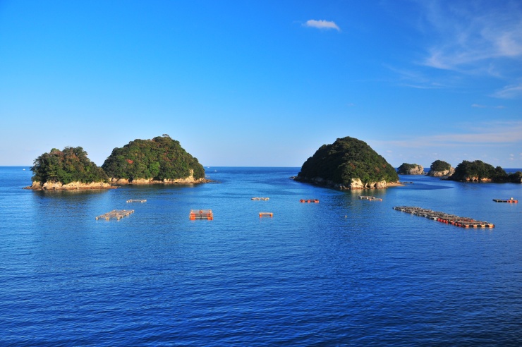 3.7㎞コースは水床湾の島々の間を泳ぎます