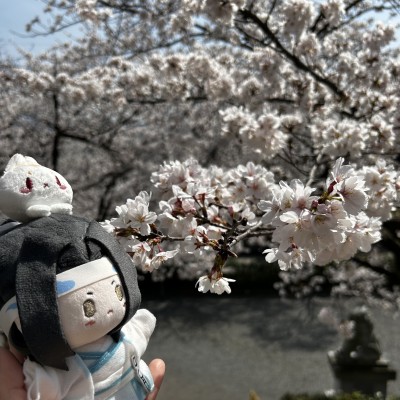 あーしぇんさん