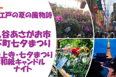 【お江戸の夏の風物詩・入谷あさがお市/下町七夕まつり23km】