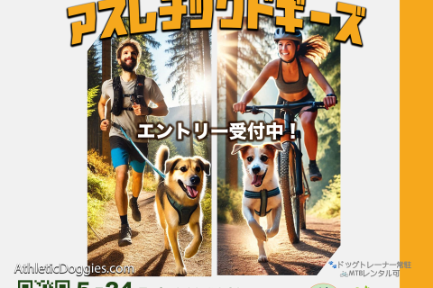 アスレチックドギーズ