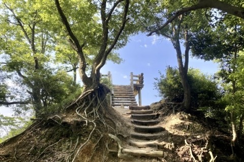 Flash Trail Challenge 2025 Autumnボランティアスタッフ募集