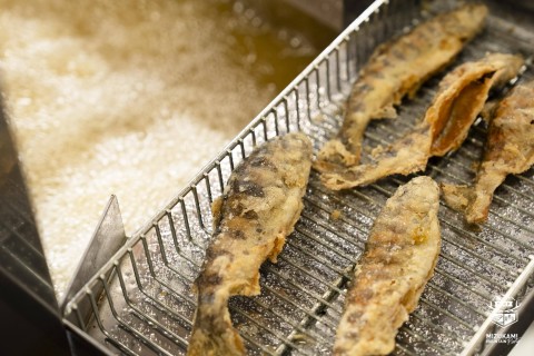 【一般向け】MIZUKAMI MOUNTAIN PARTY 後夜祭