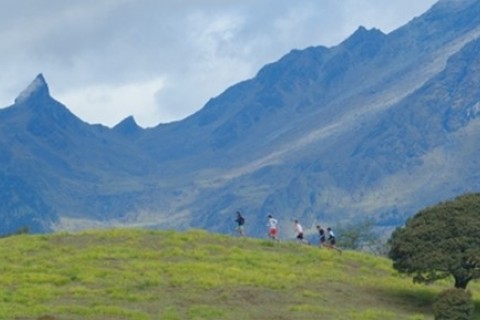 香格里拉（シャングリラ）トレイルラン2026