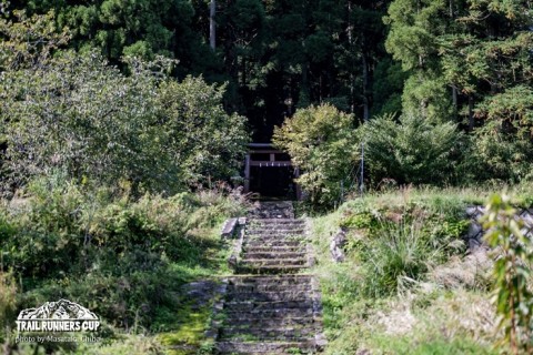 トレイルランナーズカップ兵庫上山高原2025