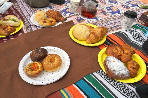 多摩川ピクニック散走