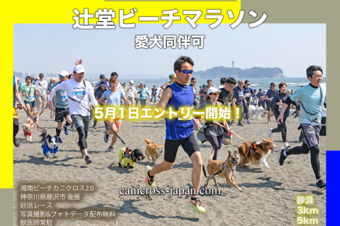 辻堂ビーチマラソン (愛犬同伴可)