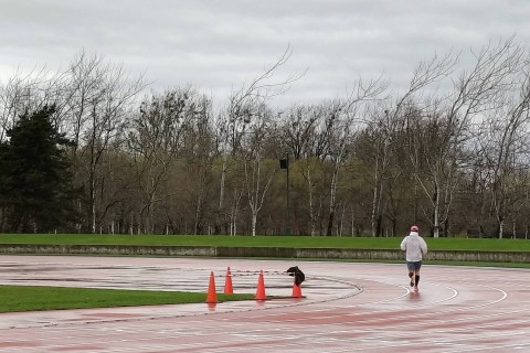 いわみざわランニングクラブ