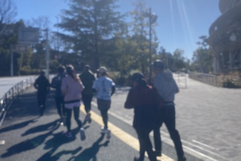 自然走　新規会員募集中　2026年　2/22航空公園　3/29林試の森公園