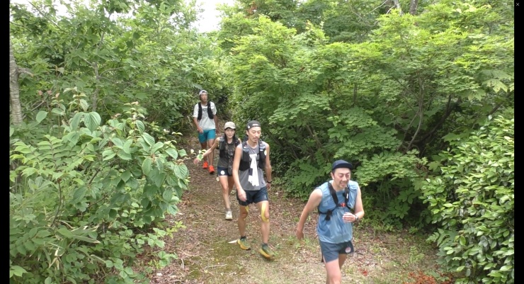 金倉山山頂近くの登山道