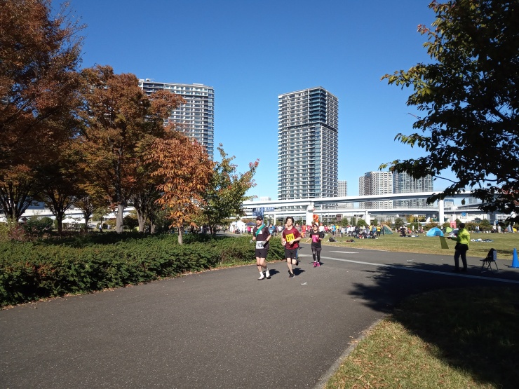 紅葉がすすむ有明を気持ち良く走ろう！