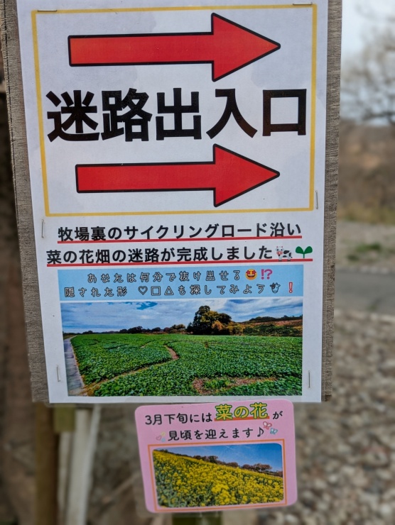 榎本牧場ポタサイクリング