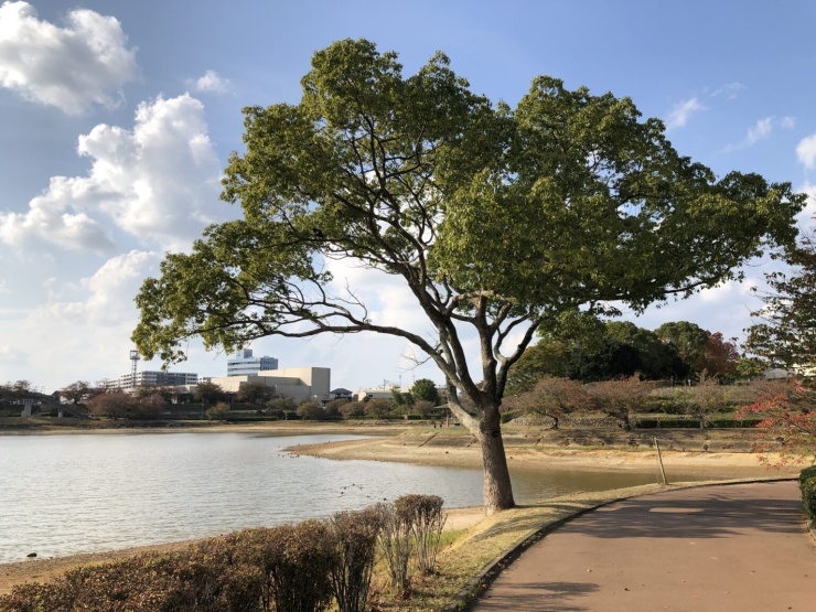 駕与丁公園マラソンコース