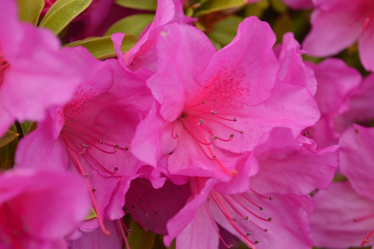 e-BIKE（電動アシスト付きスポーツバイク）のXEALT_L3グリーン