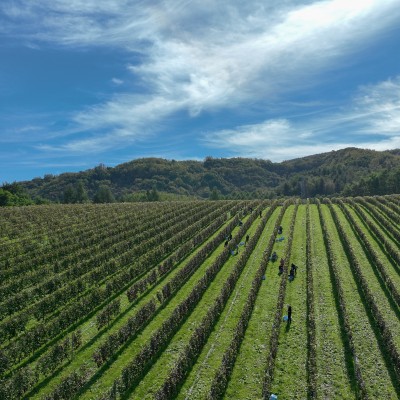 21kmの部（2025）