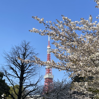 Yarigatake3180さん