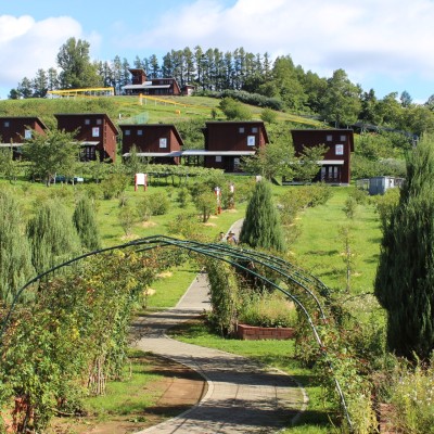 11kmの部（2025）