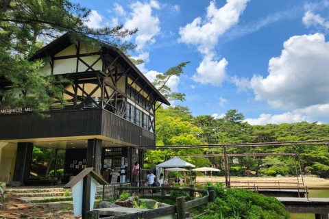 神戸再度山(ふたたびやま)人犬同伴Trail Race プレ大会