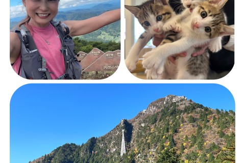 保護猫チャリティーKomono Four Peaks Trailを走ろう！