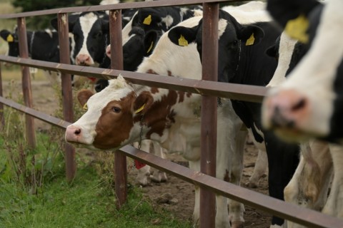 第2回くんねっぷ牧場ミニマラソン