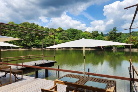 神戸再度山(ふたたびやま)人犬同伴Trail Race プレ大会