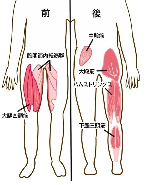 下半身のどこが痛くなるのか？