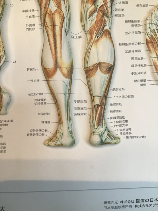 ふくらはぎを使いすぎるフォームを改善