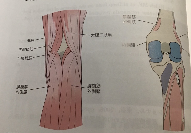 ふくらはぎの痛みの根本解決はランニングフォーム