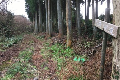 武雄嬉野路〈長崎街道〉フルジョグトリップ since 2007