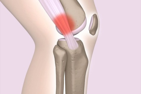 【身体資産の再設計】CPEメソッドで「走りの設計ミス」をエンジニアリングする｜個別セッション