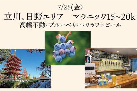 立川、日野エリア　マラニック15~20k 高幡不動、ブルーベリー、クラフトビール！