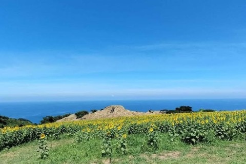 【9/7】Ritorun〜離島ランニング〜in 大島